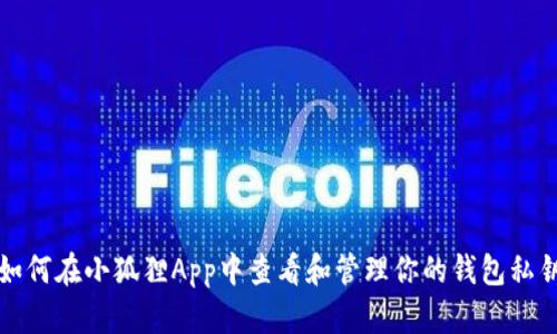 如何在小狐狸App中查看和管理你的钱包私钥