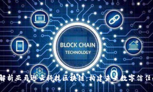  深入解析亚马逊云科技区块链：构建未来数字信任的基石