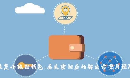 如何恢复小狐狸钱包：丢失密钥后的解决方案与预防措施