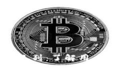 小狐狸钱包队列：了解用户体验与路径