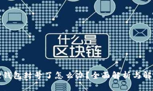 小狐狸钱包封号了怎么办?全面解析与解决方案