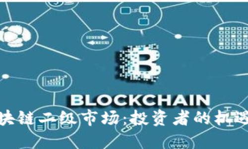 探秘区块链二级市场:投资者的机遇与挑战