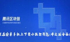 如何在安卓手机上下载小狐狸钱包：中文版全面