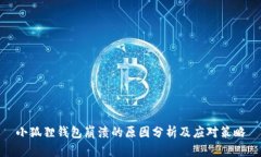 小狐狸钱包崩溃的原因分析及应对策略
