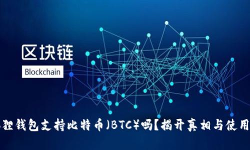 小狐狸钱包支持比特币（BTC）吗？揭开真相与使用指南