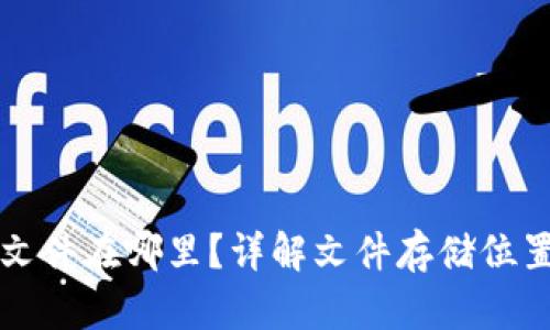 小狐狸钱包文件在哪里?详解文件存储位置及使用方法