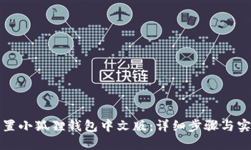 如何设置小狐狸钱包中文版:详细步骤与实用技巧