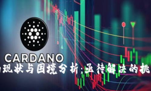 区块链技术的现状与困境分析：亟待解决的挑战与发展机遇