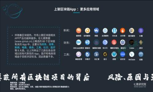 : 屏蔽所有区块链项目的背后——风险、原因与影响