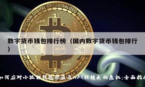 如何应对小狐狸钱包被盗及NFT被转走的危机：全面指南