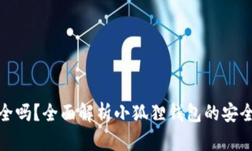 小狐狸钱包安全吗？全面解析小狐狸钱包的安全性与用户体验