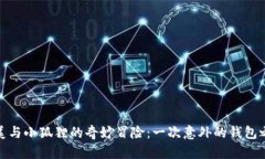 娜美与小狐狸的奇妙冒险：一次意外的钱包之旅
