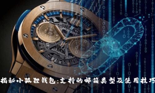 揭秘小狐狸钱包:支持的邮箱类型及使用技巧