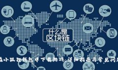 如何在小狐狸钱包中下载游戏：详细指南与常见