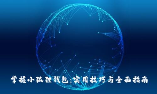 掌握小狐狸钱包：实用技巧与全面指南