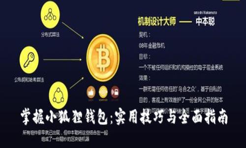 掌握小狐狸钱包：实用技巧与全面指南