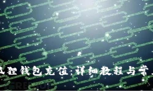如何给小狐狸钱包充值:详细教程与常见问题解析