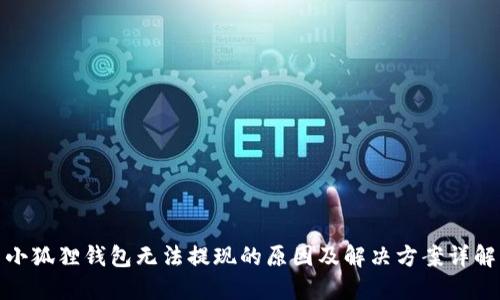 小狐狸钱包无法提现的原因及解决方案详解