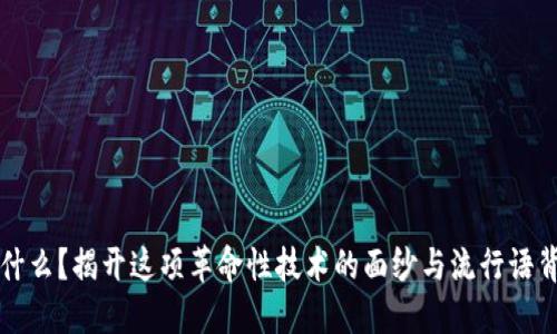 区块链是什么？揭开这项革命性技术的面纱与流行语背后的深意