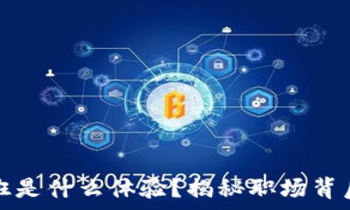  
在区块链交易所上班是什么体验？揭秘职场背后的真实故事与挑战