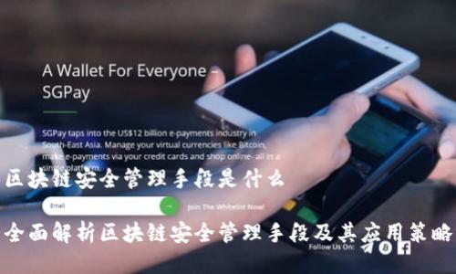 区块链安全管理手段是什么

全面解析区块链安全管理手段及其应用策略