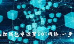 如何在小狐狸钱包中设置DOT网络：一步一步的指