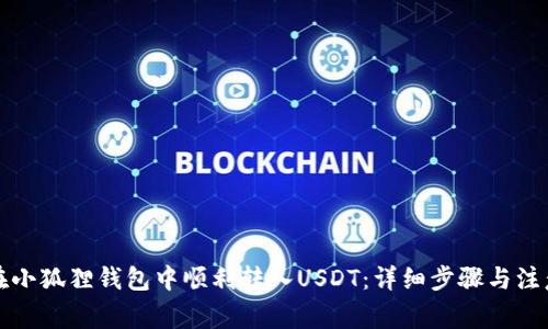 如何在小狐狸钱包中顺利转入USDT:详细步骤与注意事项