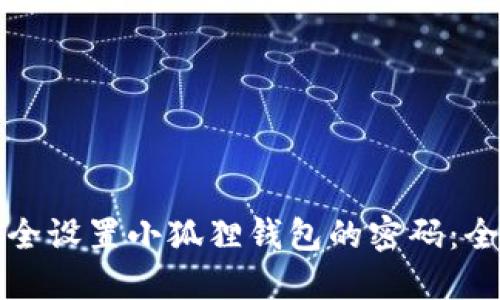 如何安全设置小狐狸钱包的密码:全面指南