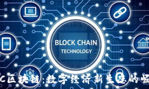   
SHC区块链：数字经济新生态的崛起