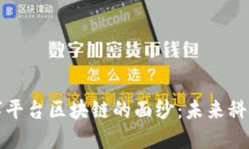 揭开数字平台区块链的面纱:未来科技的基石
