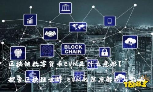 区块链数字货币EVM是什么意思？

探索区块链世界：EVM的深度解析与影响