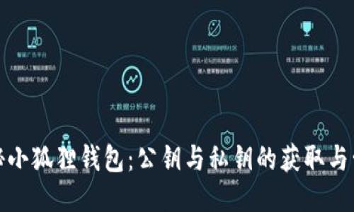 探秘小狐狸钱包：公钥与私钥的获取与管理