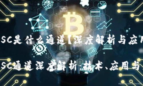 区块链HSC是什么通道？深度解析与应用前景

区块链HSC通道深度解析：技术、应用与未来展望