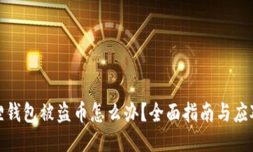 小狐狸钱包被盗币怎么办?全面指南与应对措施
