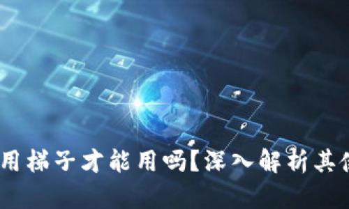 小狐狸钱包:必须使用梯子才能用吗?深入解析其使用环境与安全策略