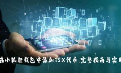 如何在小狐狸钱包中添加TSX代币：完整指南与实